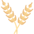 wheat